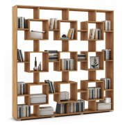 дуб золотистый