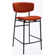 терракотовый / черный