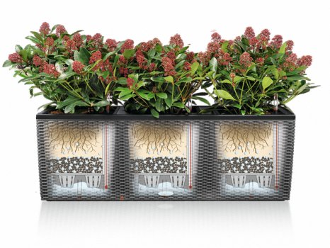 Кашпо Кьюб Глосси Кисс 14 кремовое