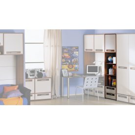 Шкаф-стеллаж Орион 109.04