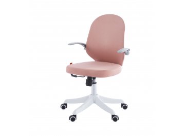 Компьютерное кресло Chairman CH107