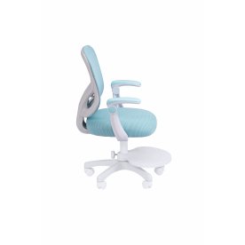 Компьютерное кресло Chairman CH106