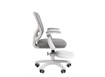 Компьютерное кресло Chairman CH106