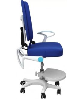 Компьютерное кресло Pegas