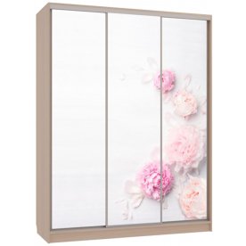 Шкаф-купе Бассо 7