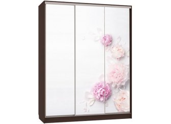 Шкаф-купе Бассо 7