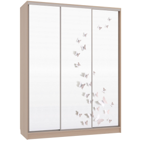 Шкаф-купе Бассо 7