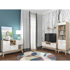 Модульная гостиная Радиорамма комплектация 1