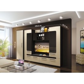 Модульная гостиная Сона (комплектация 1) венге / зебрано сахара