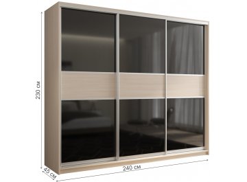 Шкаф-купе Кааппи 12