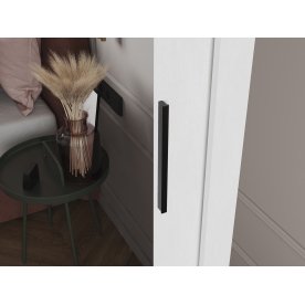 Шкаф-купе Дрим-2 2 м