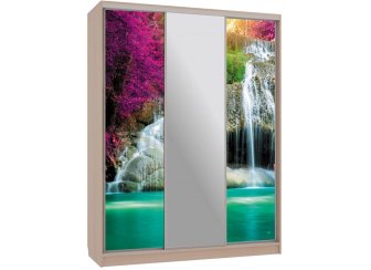 Шкаф-купе Бассо 10-600 49