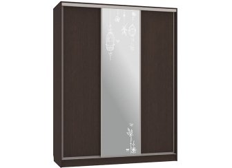 Шкаф-купе Бассо 1-600