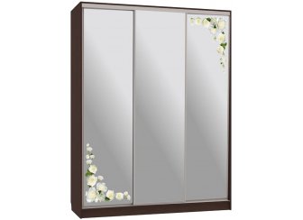 Шкаф-купе Бассо 4-600