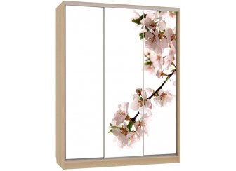 Шкаф-купе Бассо 7-600