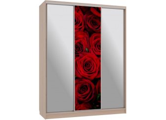 Шкаф-купе Бассо 9-600 89