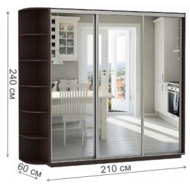 Шкаф-купе D3-08 220х60
