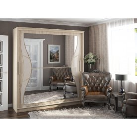 Шкаф-купе Дарина 1,5 м