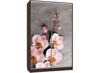 Шкаф-купе Гранд 7-600 78