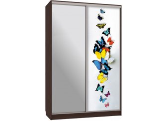 Шкаф-купе Гранд 9-600 88