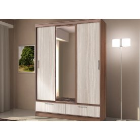 Шкаф-купе арт.009