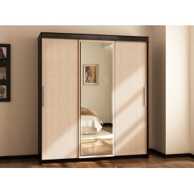 Шкаф-купе арт.012