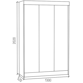 Шкаф-купе СК1