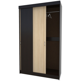 Шкаф-купе СК1