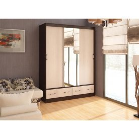 Шкаф-купе Модерн-2