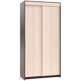 Шкаф-купе ШР-124.2