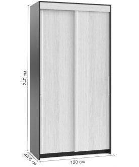 Шкаф-купе ШР-124.2