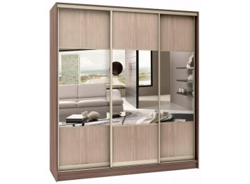 Шкаф-купе Стандарт Комбо 3.1 ШК.009.1600-19