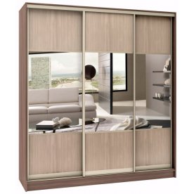 Шкаф-купе Стандарт Комбо 3.1 ШК.009.1800-19