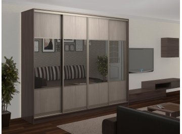 Шкаф-купе Стандарт Комбо 4.1 ШК.013.2700-19
