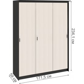 Шкаф-купе Стэн Лайт 140.10.001