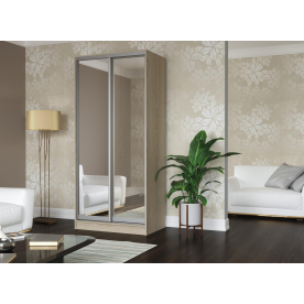 Шкаф-купе Зеркало-2