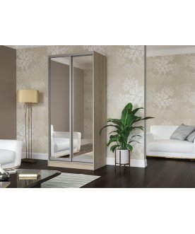 Шкаф-купе Зеркало-2