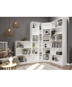 Стеллаж Вилли СБ-200