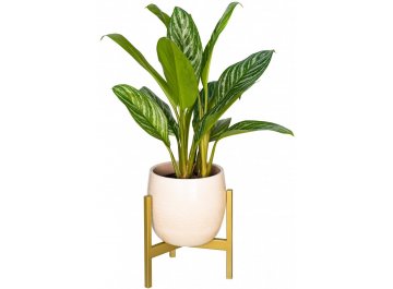 Цветочница Trinity 25