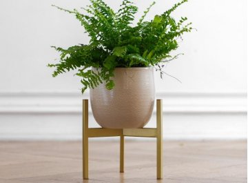 Цветочница Агния 10