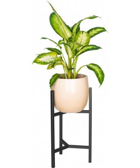 Цветочница Агния 20