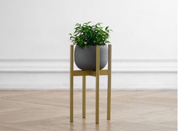 Цветочница Oxalis 40