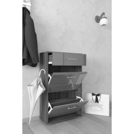 Обувница Мебелеф 12