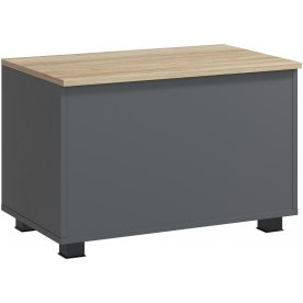 Сундук Скайлайт СЛ-60