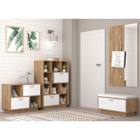 Модульная прихожая Эго комплектация 1