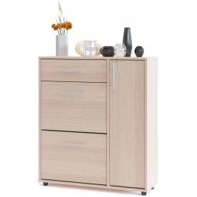 Модульная прихожая ШО-1 + ВШ-3.1 + ТП-3 + ТП-4 + ПЗ-4 (комплектация 1)