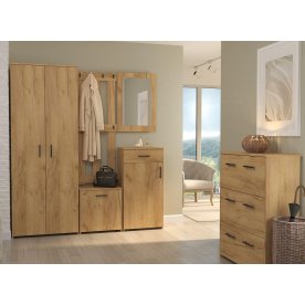 Обувница Агата АТ-1