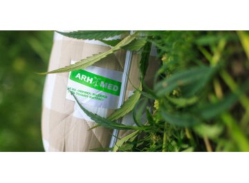 Матрас Sativa L