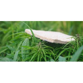 Матрас Sativa XL