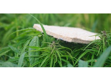 Матрас Sativa XL